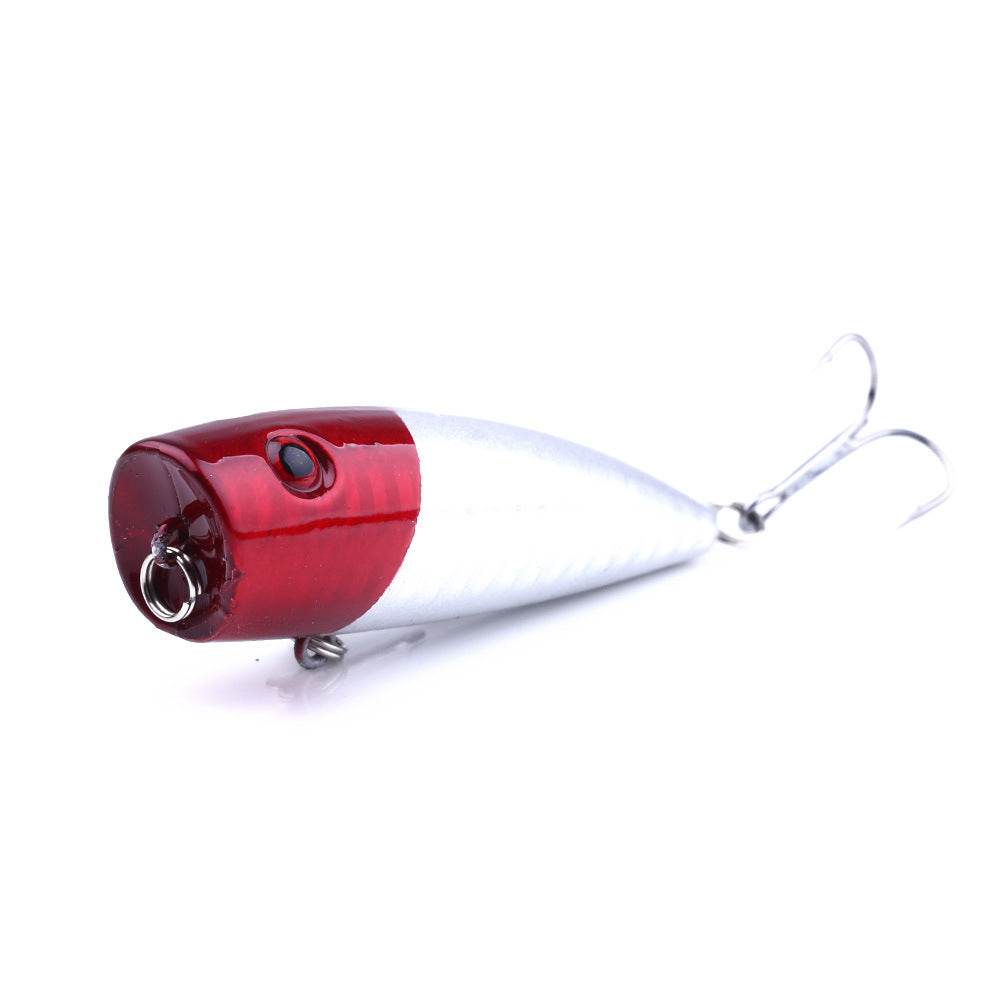 Vortex Popper Lure| Shop fishing gear Fishmak