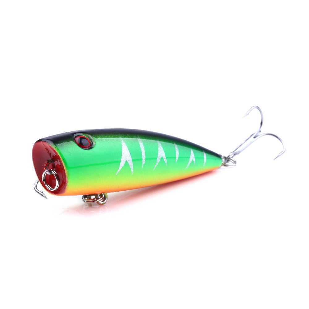 Vortex Popper Lure| Shop fishing gear Fishmak