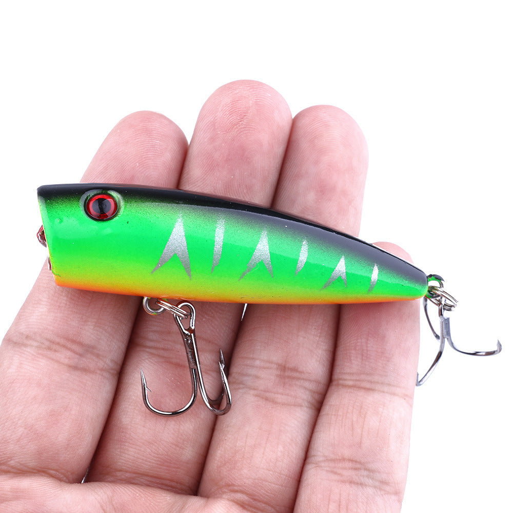 Vortex Popper Lure| Shop fishing gear Fishmak