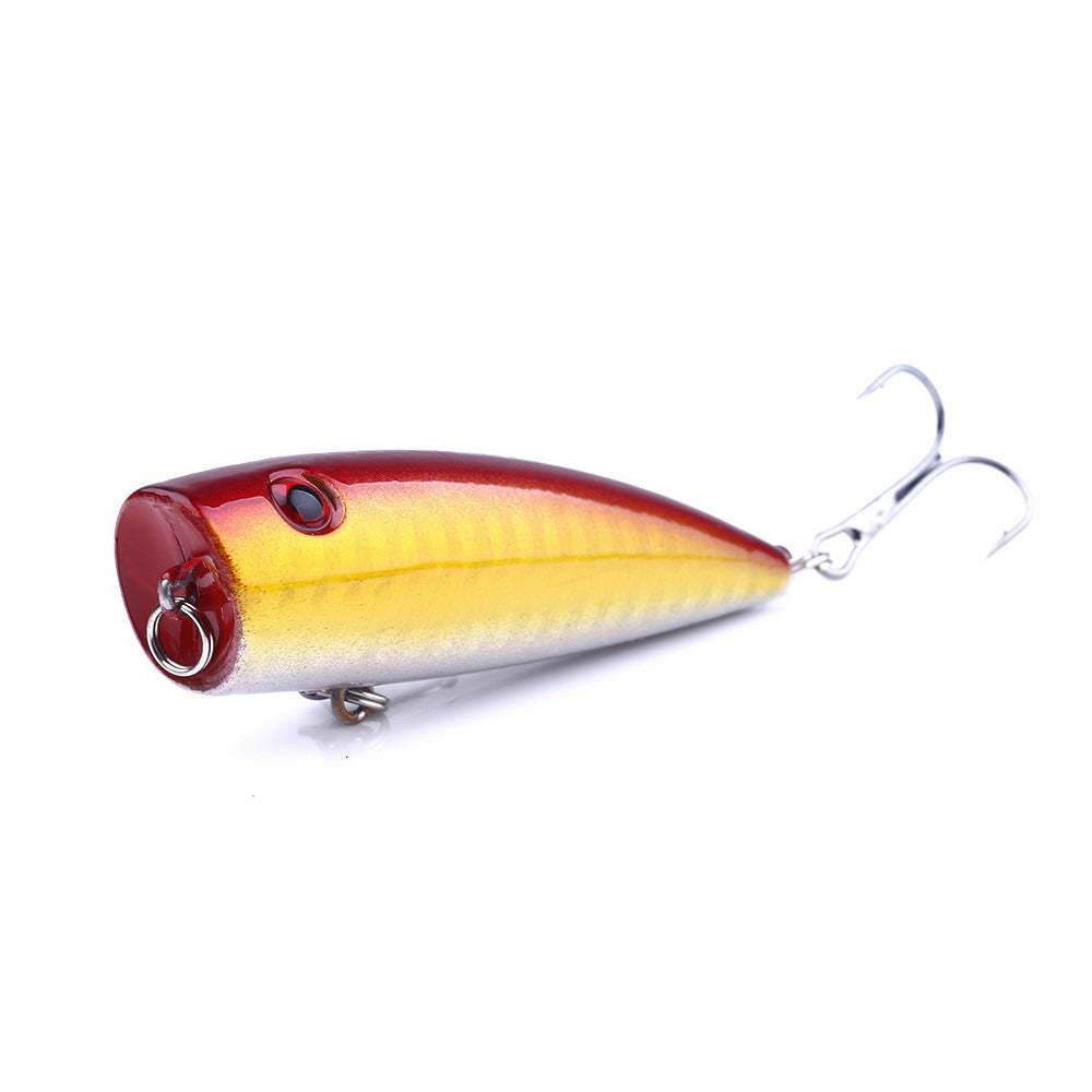 Vortex Popper Lure| Shop fishing gear Fishmak