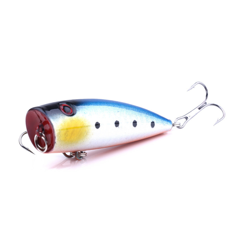 Vortex Popper Lure| Shop fishing gear Fishmak