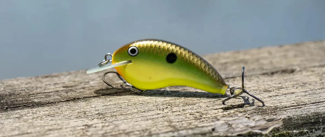 Best Freshwater Lures: A Beginner's Guide for 2024