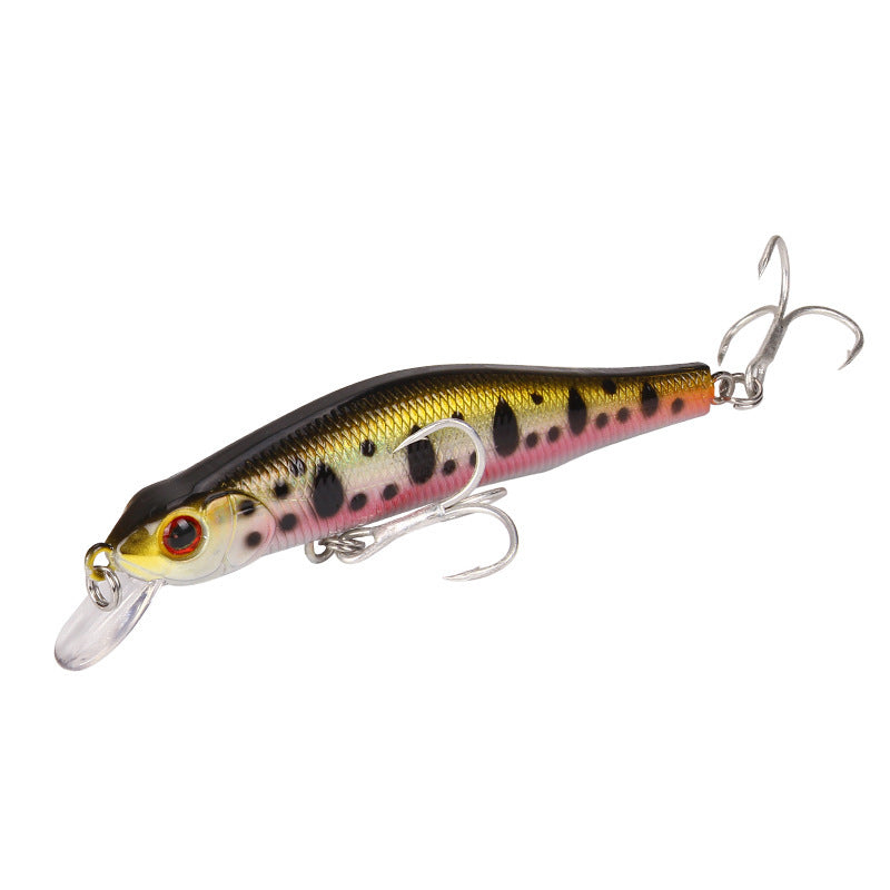 Black River  Minnow