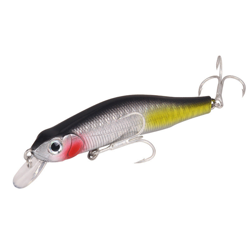 Black River  Minnow