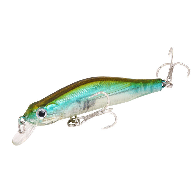 Black River  Minnow