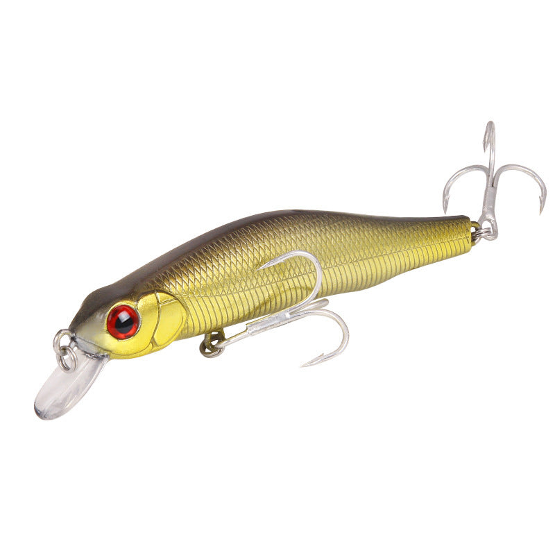 Black River  Minnow