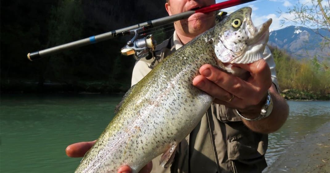 Fishmak - best place to buy Steelhead Spinning Reels