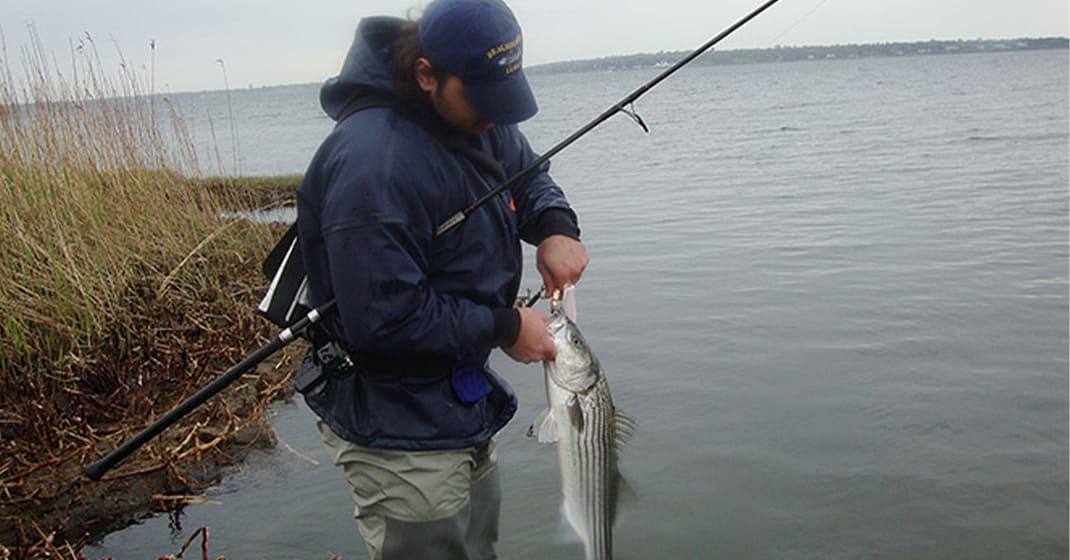 Discover benefits of our Spinning Reels for Striper Fishing